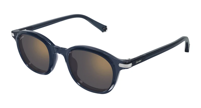 Cartier CT0584S 003 49