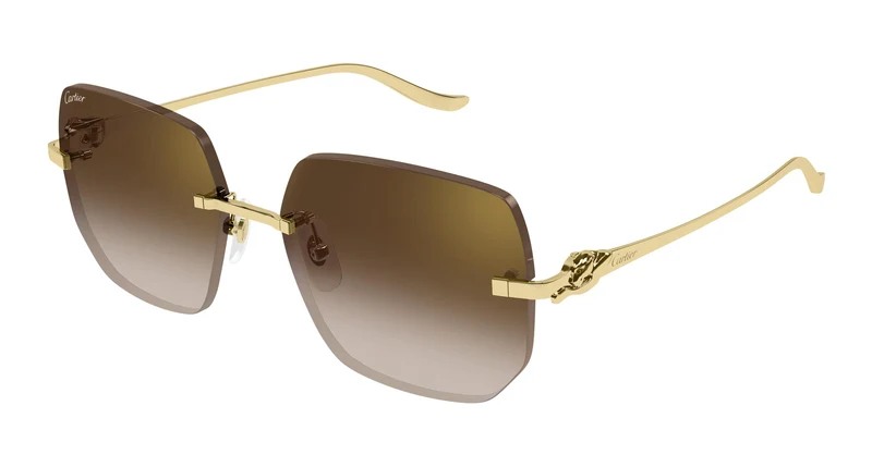Cartier CT0549S 005 57