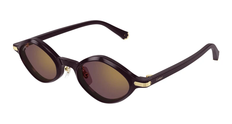 Cartier CT0540S 006 48