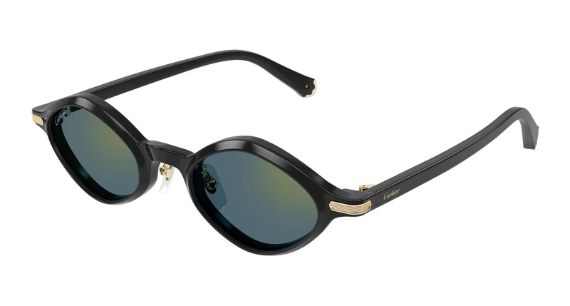 Cartier CT0540S 007 48