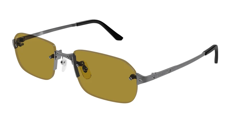 Cartier CT0460S 004 56