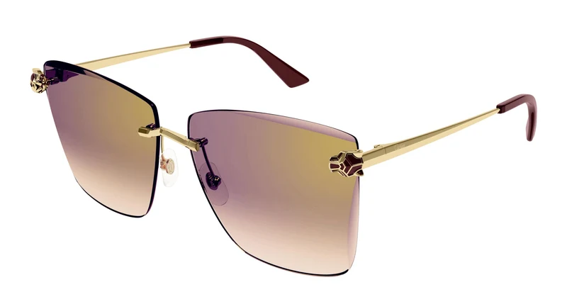 Cartier CT0397S 003 61