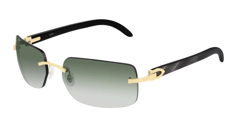 Cartier CT0022RS 001 59