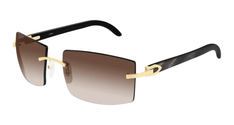 Cartier CT0021RS 001 59
