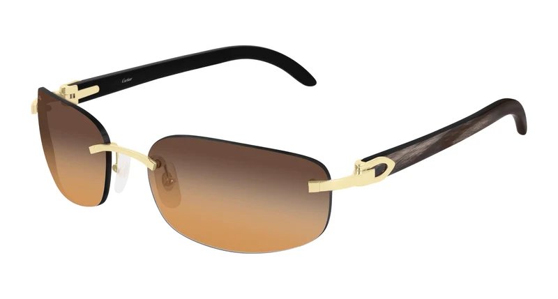 Cartier CT0020RS 001 60
