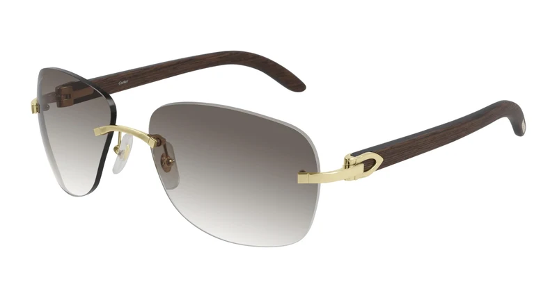 Cartier CT0014RS 001 58