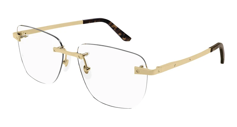 Cartier CT0336O 001 58