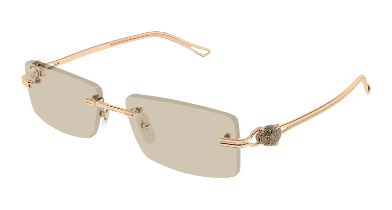 Cartier CT0647S 003 57