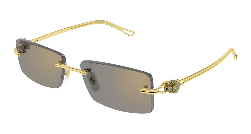 Cartier CT0647S 002 57