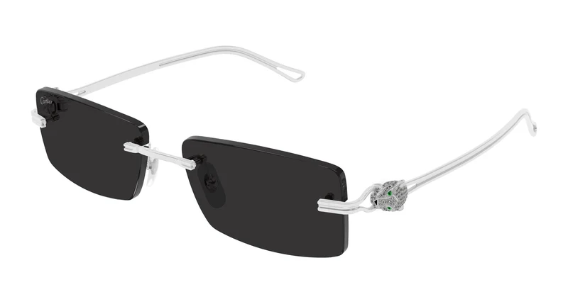 Cartier CT0647S 001 57