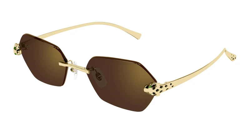 Cartier CT0636S 002 55