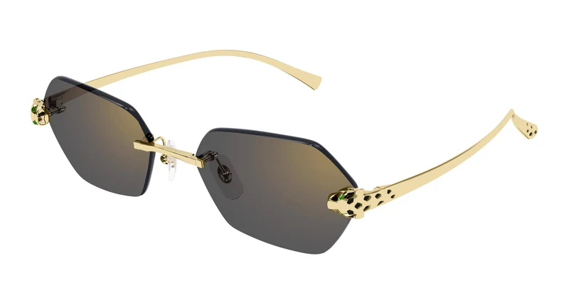 Cartier CT0636S 001 55