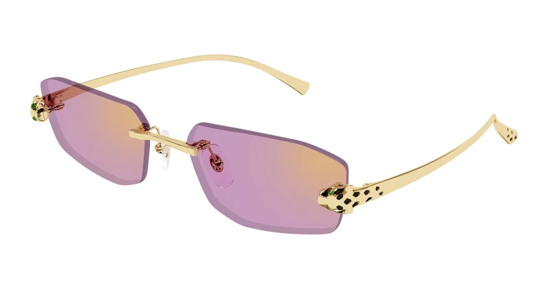 Cartier CT0474S 006 56