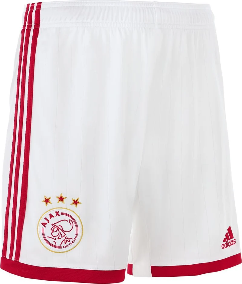 Ajax H Sho