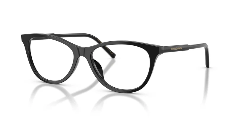 Dolce & Gabbana DG3443 501 53
