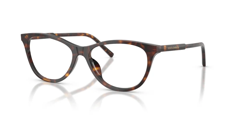 Dolce & Gabbana DG3443 502 53