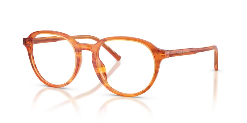 Dolce & Gabbana DG3444 3483 52