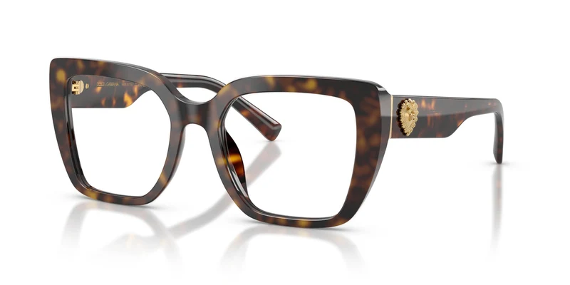 Dolce & Gabbana DG3441 502 51