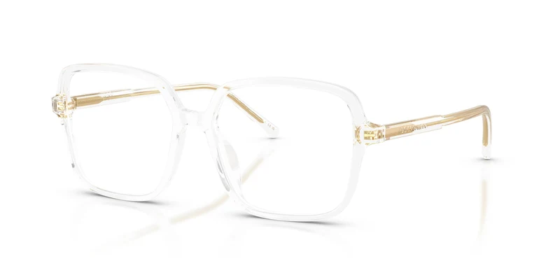 Dolce & Gabbana DG3442 3133 53