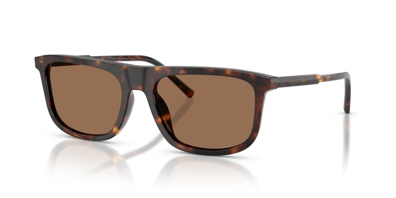 Dolce & Gabbana DG4542 502/73 56