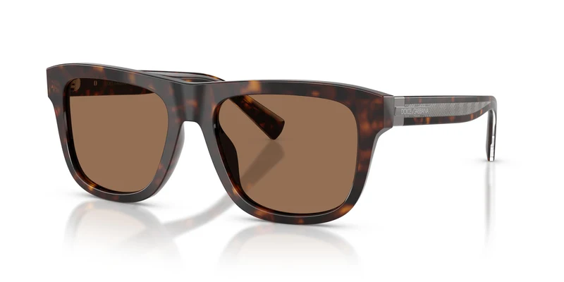 Dolce & Gabbana DG4545 502/73 55