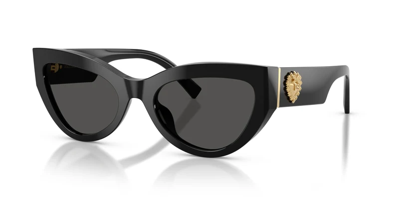 Dolce & Gabbana DG4536 501/87 55