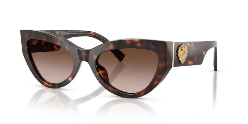 Dolce & Gabbana DG4536 502/13 55