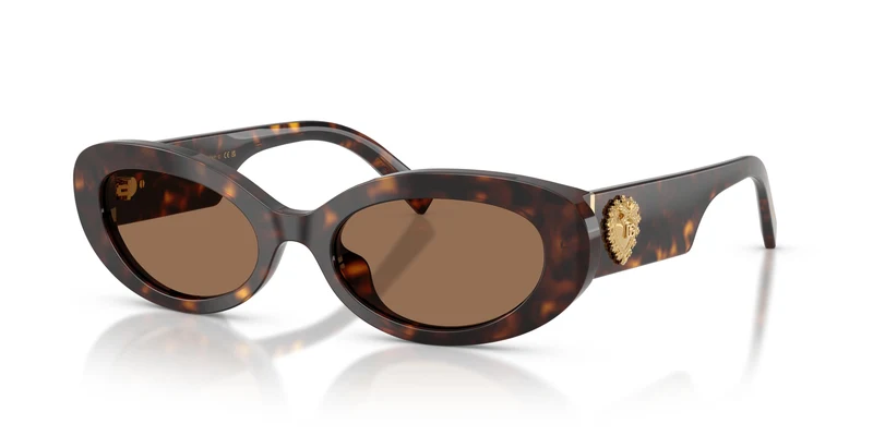 Dolce & Gabbana DG4537 502/73 53