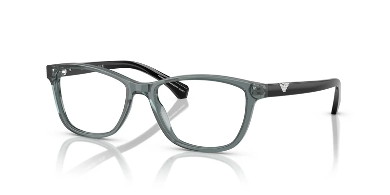 Emporio Armani EA3099 6364 54