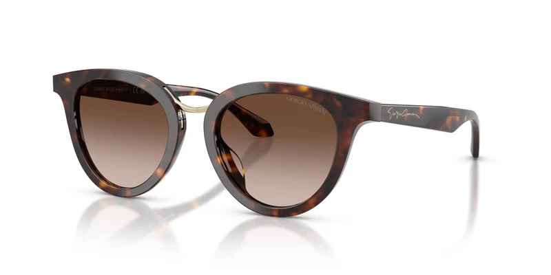 Giorgio Armani AR8252U 612413 49