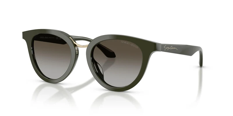 Giorgio Armani AR8252U 640013 49