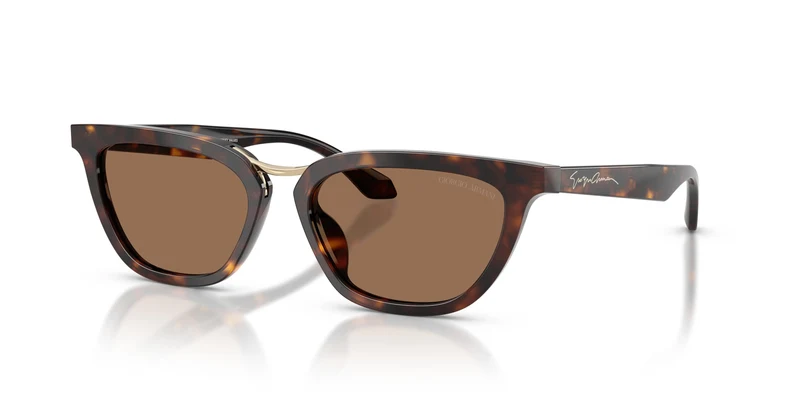 Giorgio Armani AR8253U 612473 54