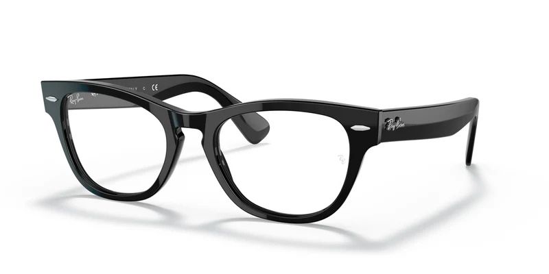 Ray-Ban RX2201V LARAMIE 2000 54