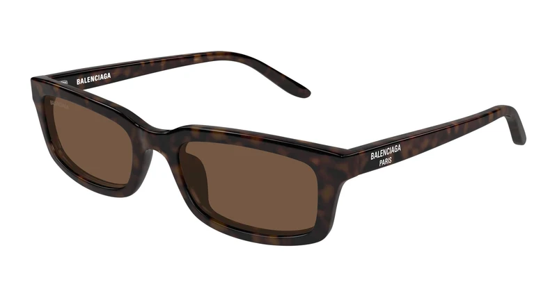 Balenciaga BB0526S 002 55