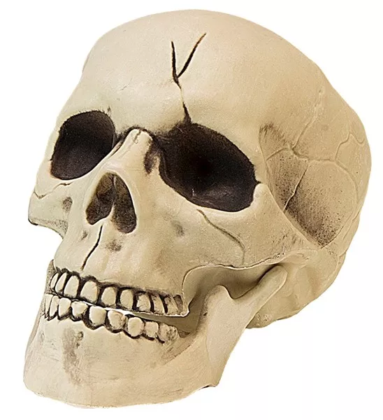 Pvc schedel met beweegbare kaak 21cm kostuum Julia