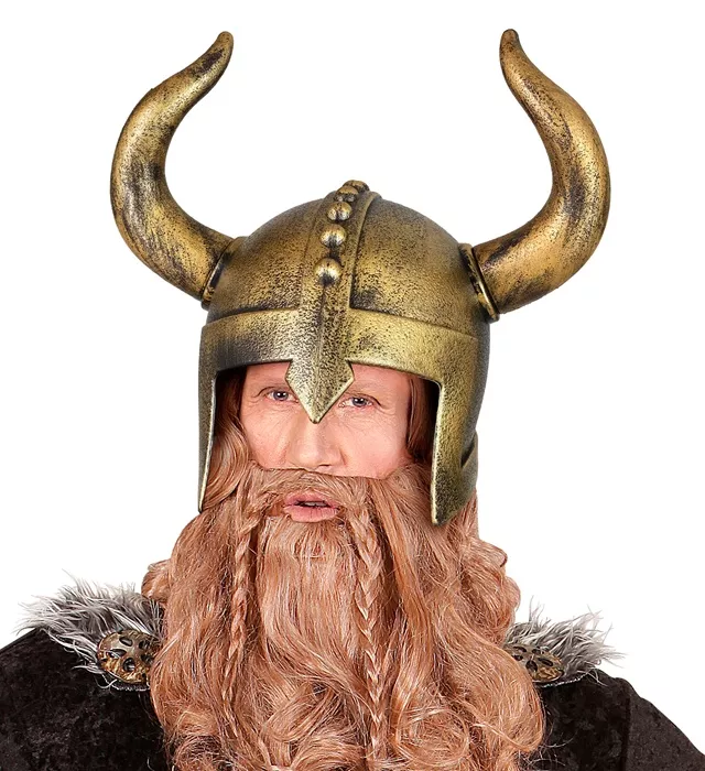 Viking helm Teun
