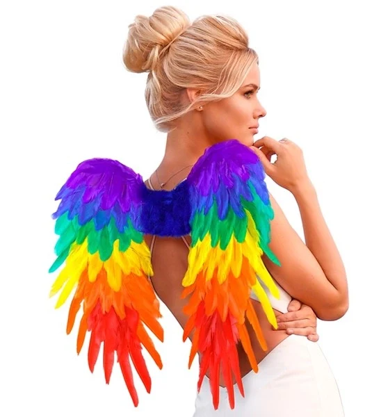 Veren vleugels regenboog opvouwbaar 50 x 50cm Roos