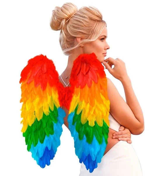 Veren vleugels regenboog opvouwbaar 50 x 50cm Thijs