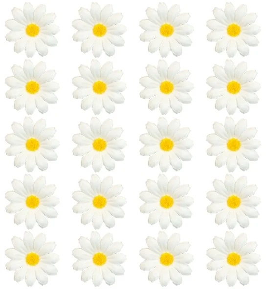 Set van 20 decoratieve madeliefje Teun