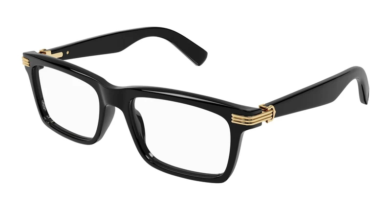 Cartier CT0420O 001 53