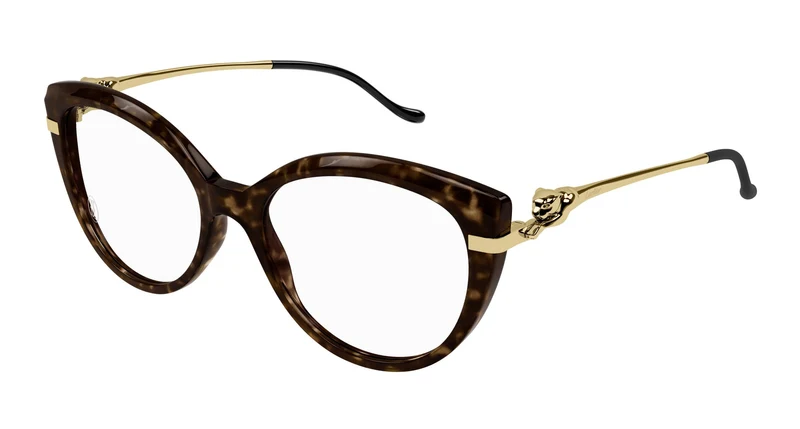 Cartier CT0283O 002 54
