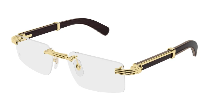 Cartier CT0485O 008 55
