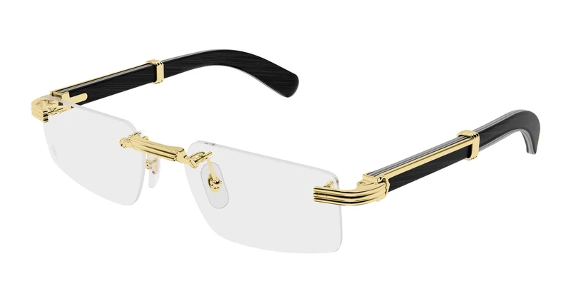 Cartier CT0485O 007 55