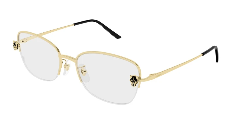 Cartier CT0679OA 001 55