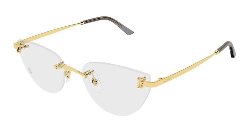 Cartier CT0673O 001 54
