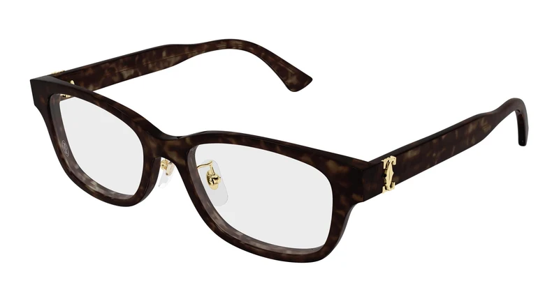 Cartier CT0670OJ 002 53