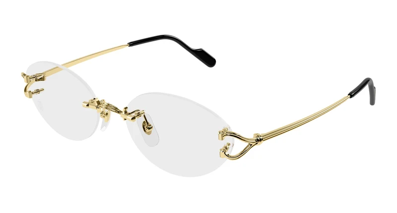 Cartier CT0665OJ 001 53