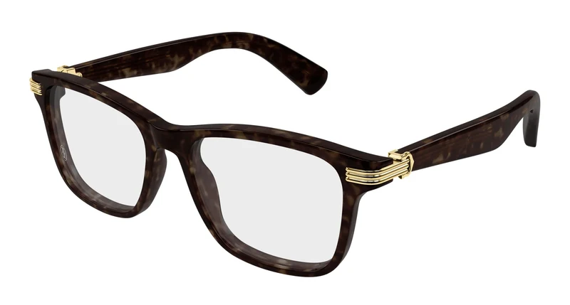 Cartier CT0658O 002 53