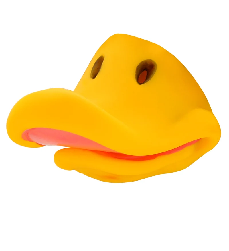 Neus eend