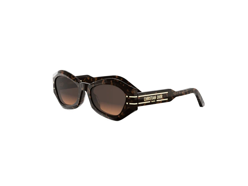 DIOR DIORSIGNATURE B1U 24F1 CD40139U 55F 55